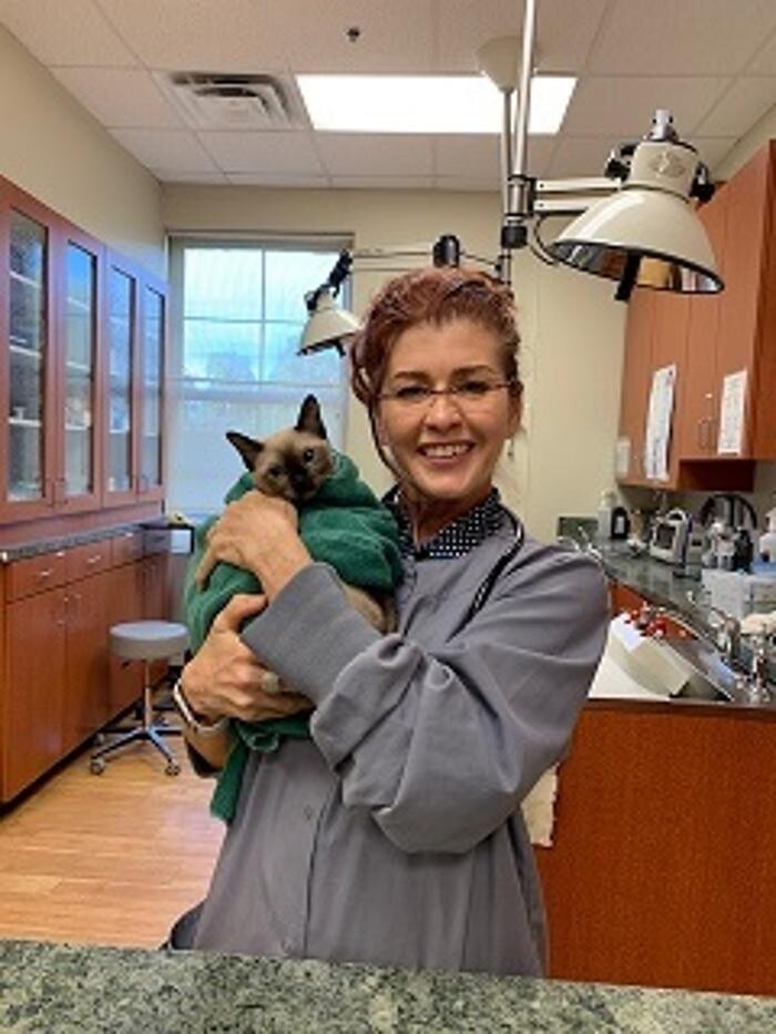 Images Cat Care of Vinings