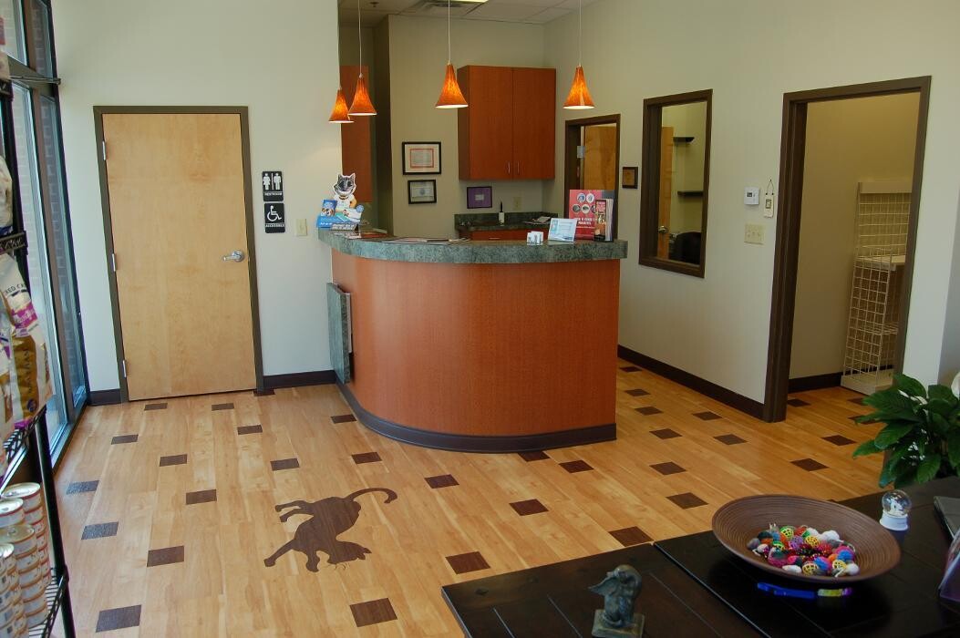 Images Cat Care of Vinings