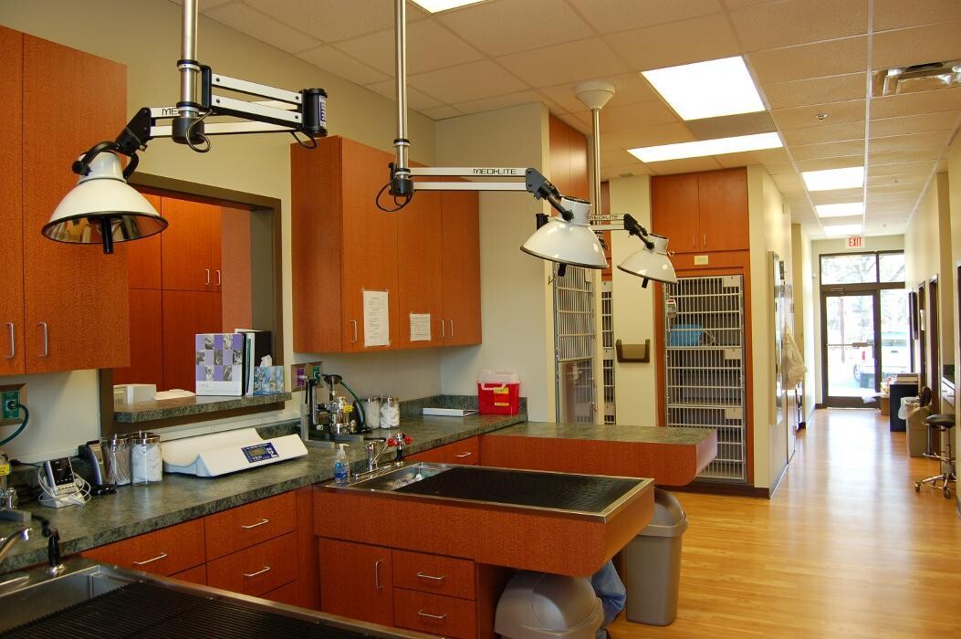 Images Cat Care of Vinings