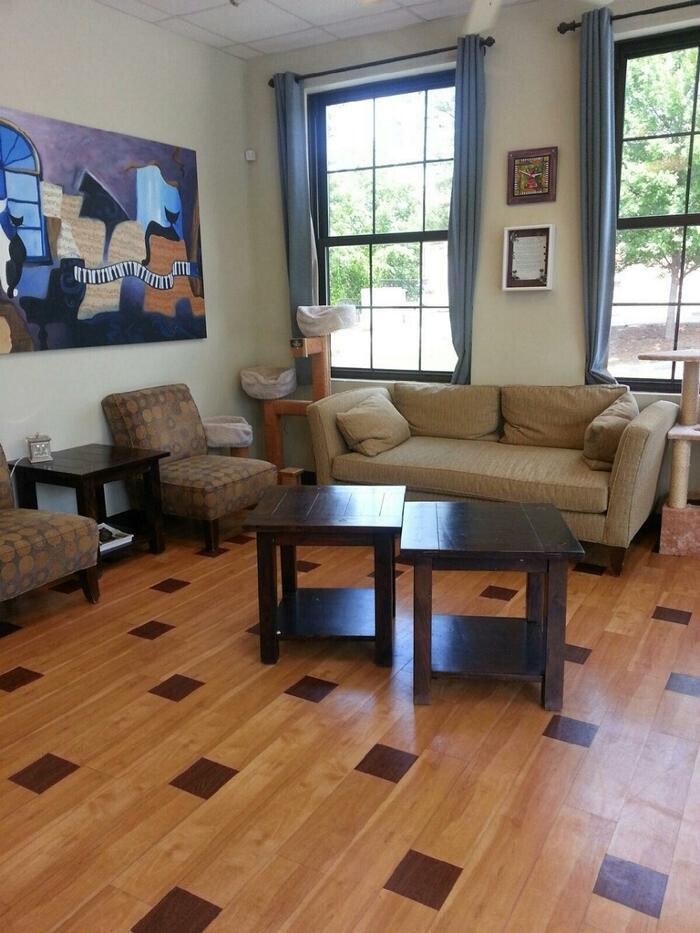 Images Cat Care of Vinings