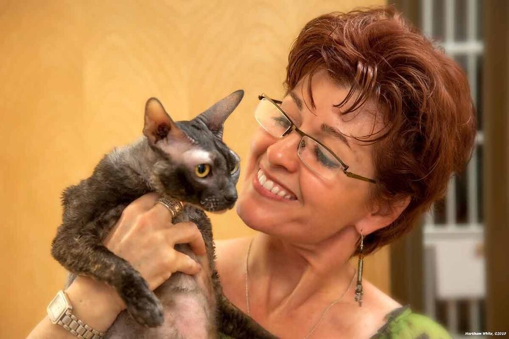 Images Cat Care of Vinings