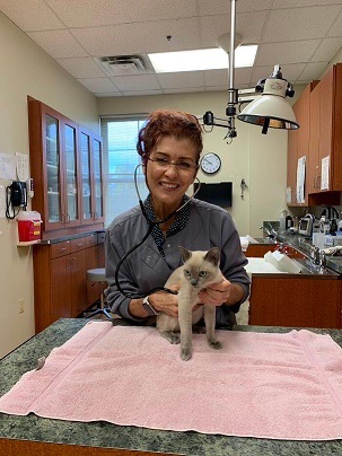 Images Cat Care of Vinings