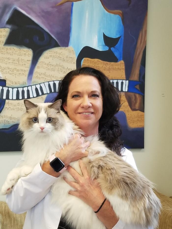 Images Cat Care of Vinings