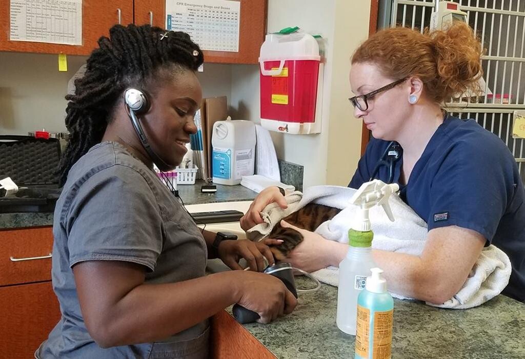 Images Cat Care of Vinings