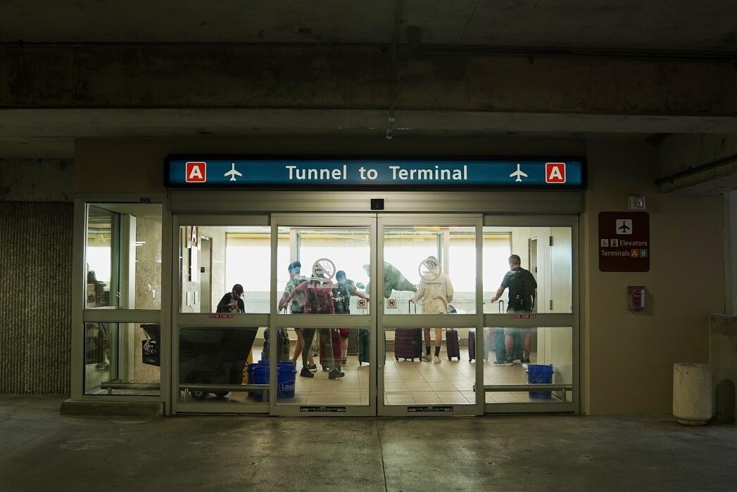 Images Avis Car Rental