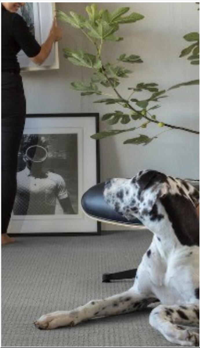 Images Gilman Floors