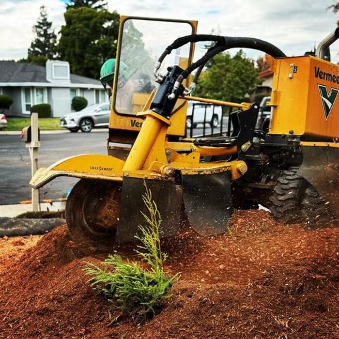 Images All Green Tree Service