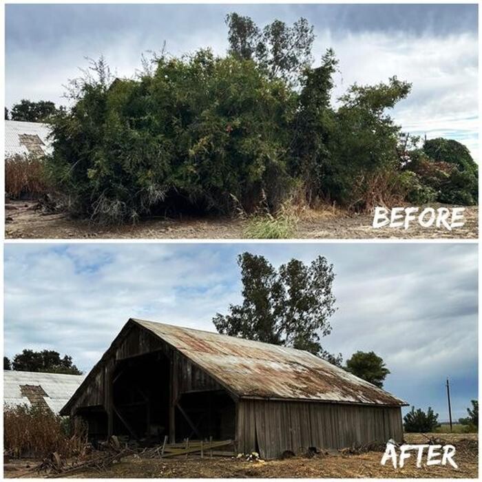 Images All Green Tree Service