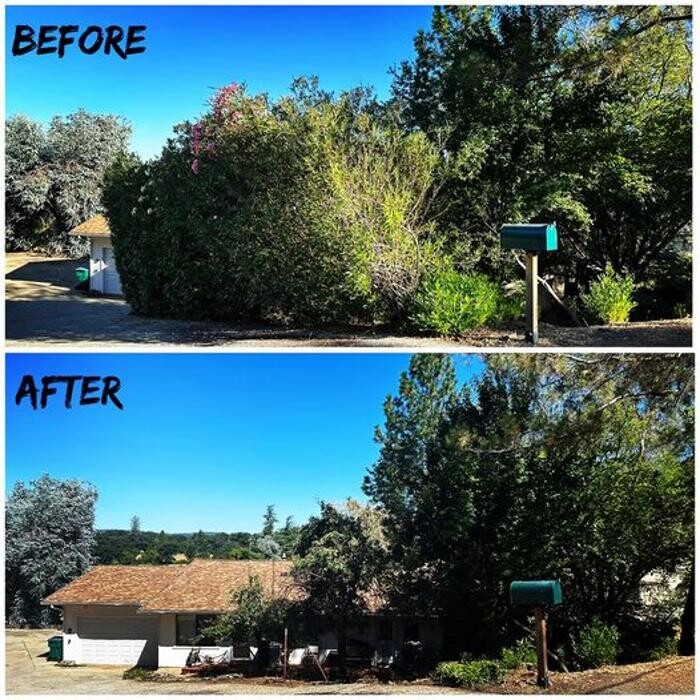 Images All Green Tree Service