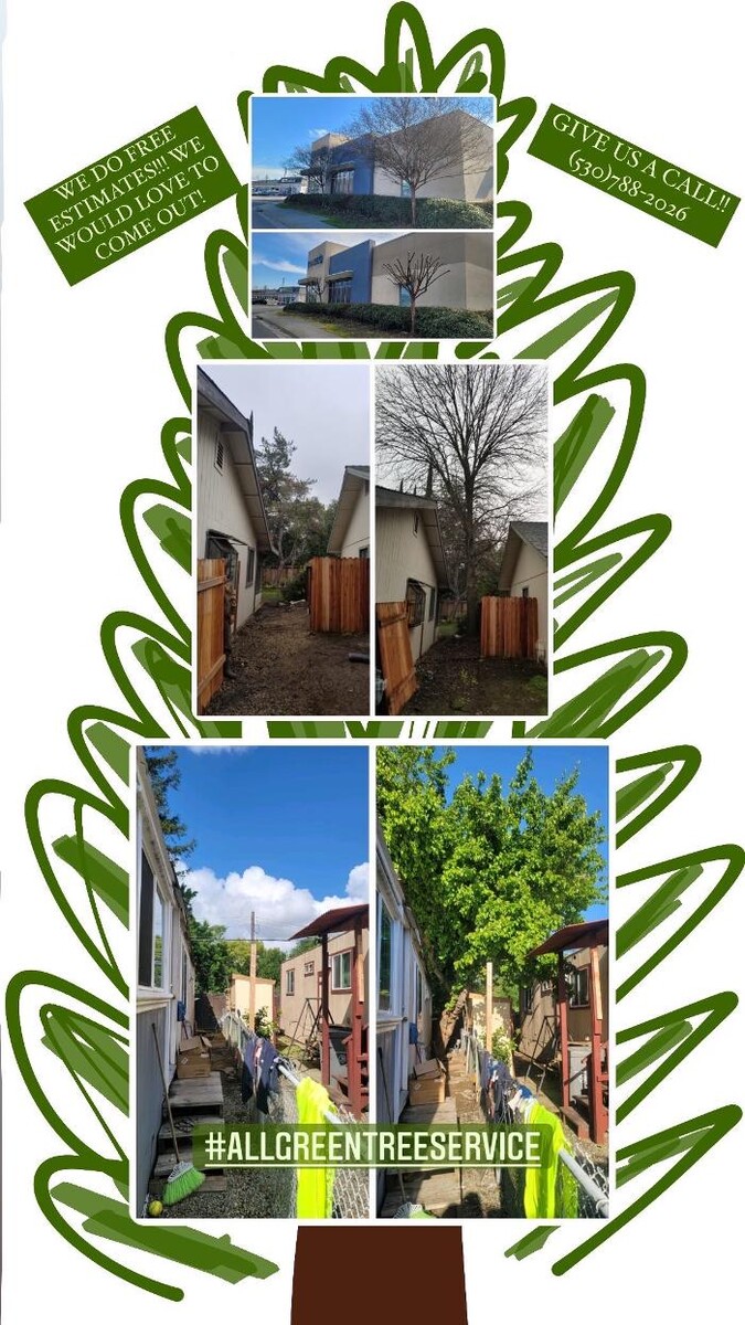 Images All Green Tree Service