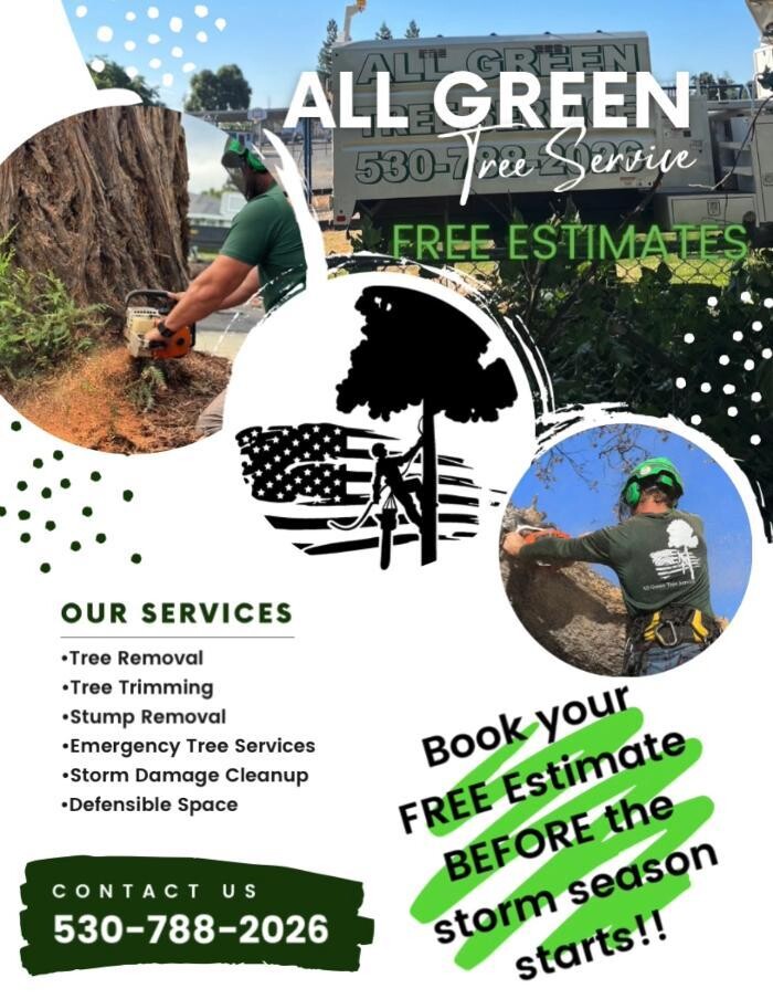 Images All Green Tree Service