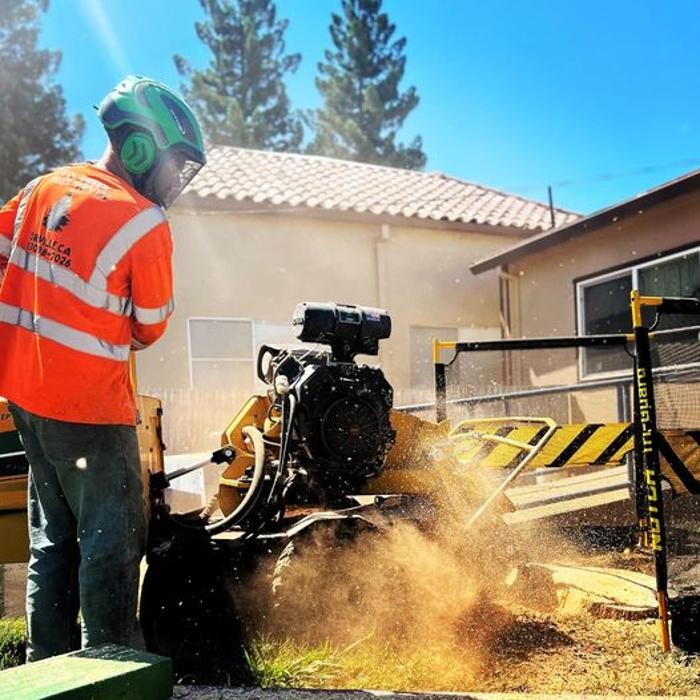 Images All Green Tree Service