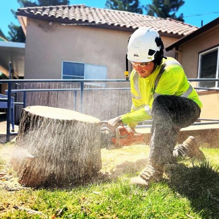 Images All Green Tree Service