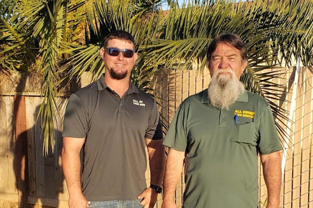 Images All Green Tree Service