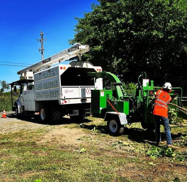 Images All Green Tree Service