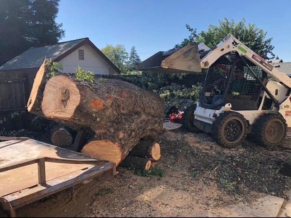 Images All Green Tree Service