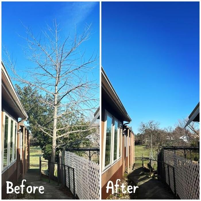 Images All Green Tree Service