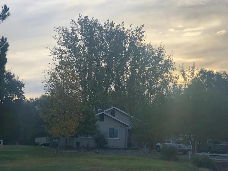 Images All Green Tree Service