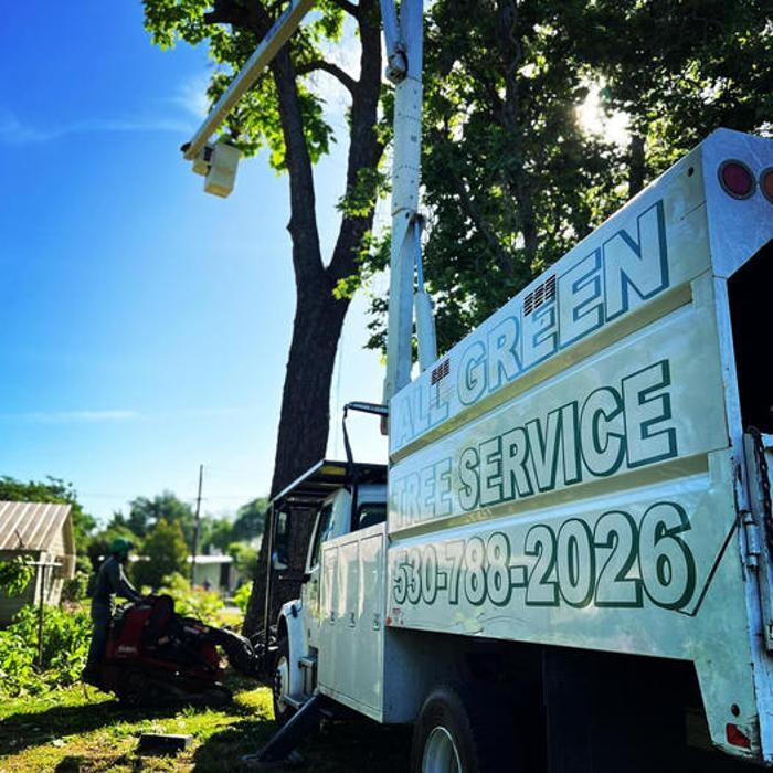 Images All Green Tree Service