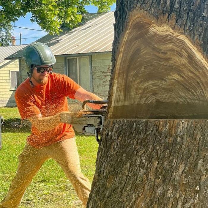 Images All Green Tree Service