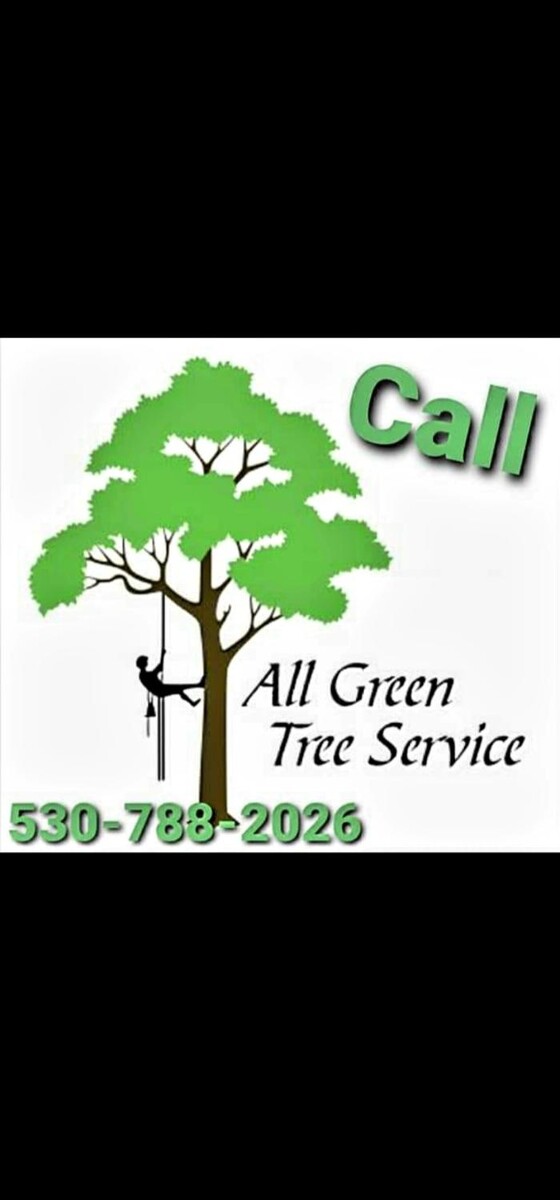 Images All Green Tree Service