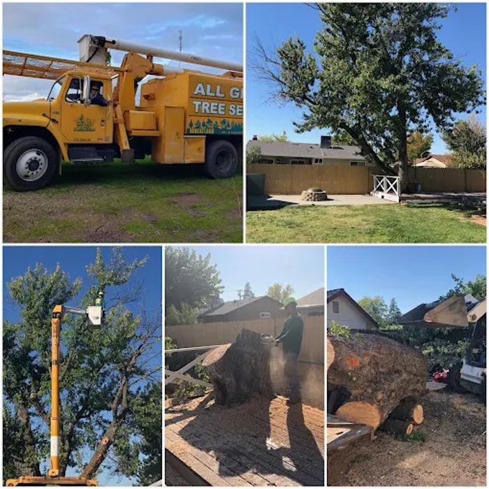 Images All Green Tree Service