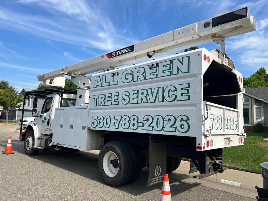 Images All Green Tree Service