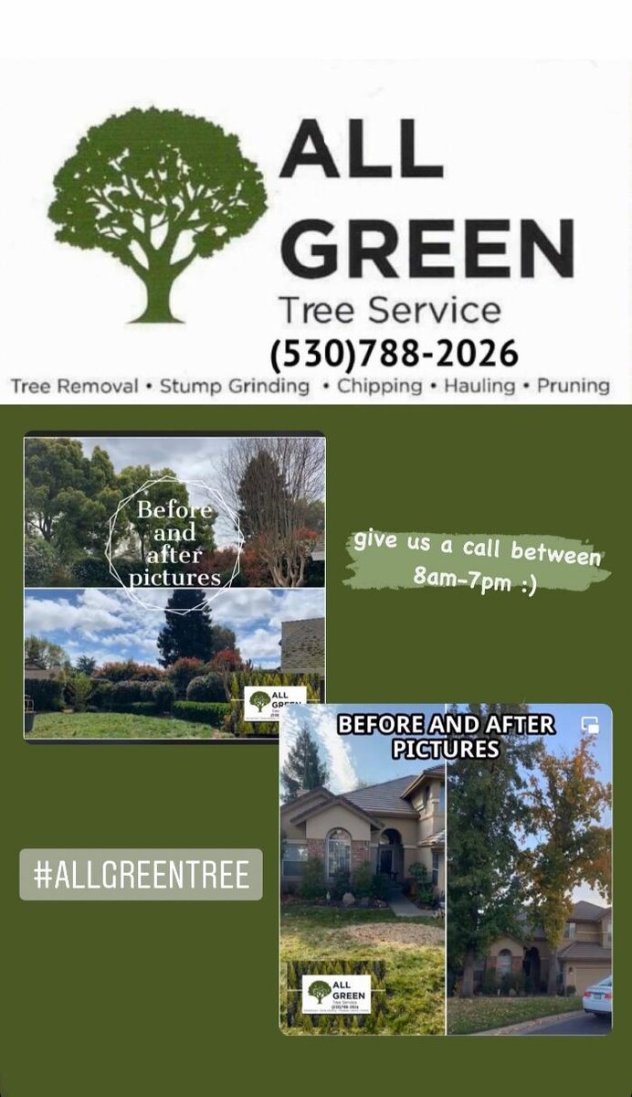 Images All Green Tree Service
