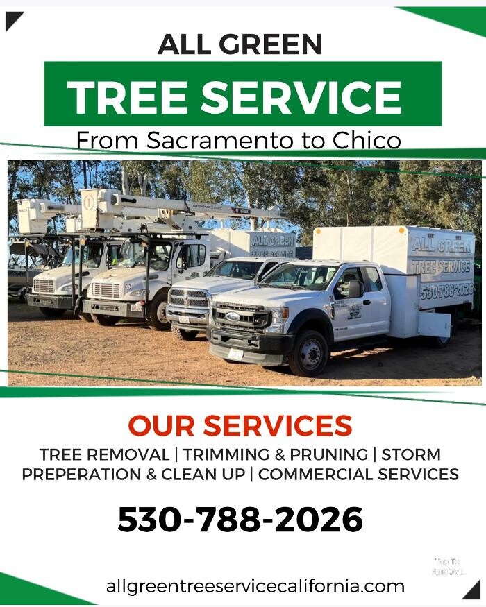 Images All Green Tree Service