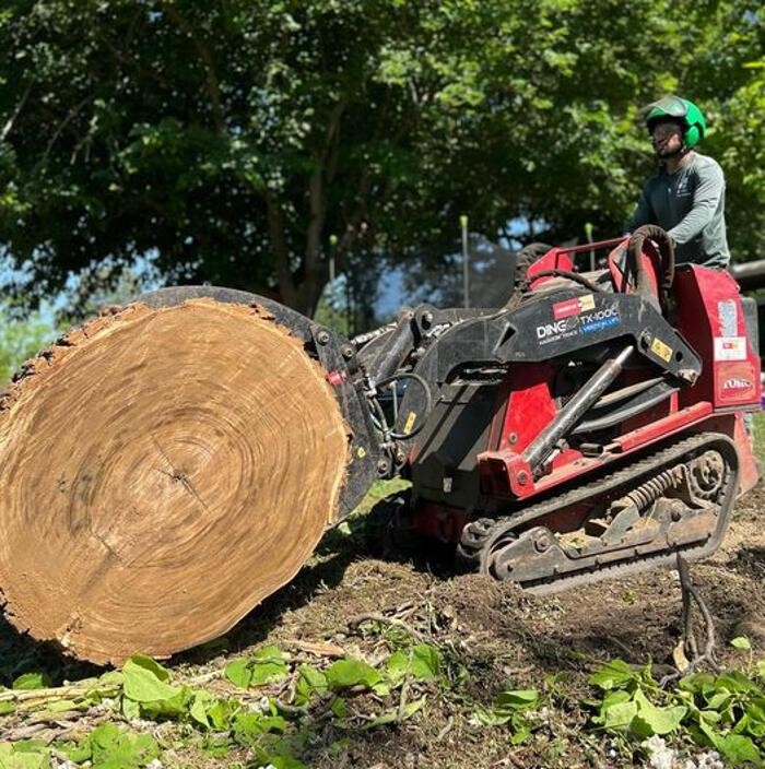 Images All Green Tree Service