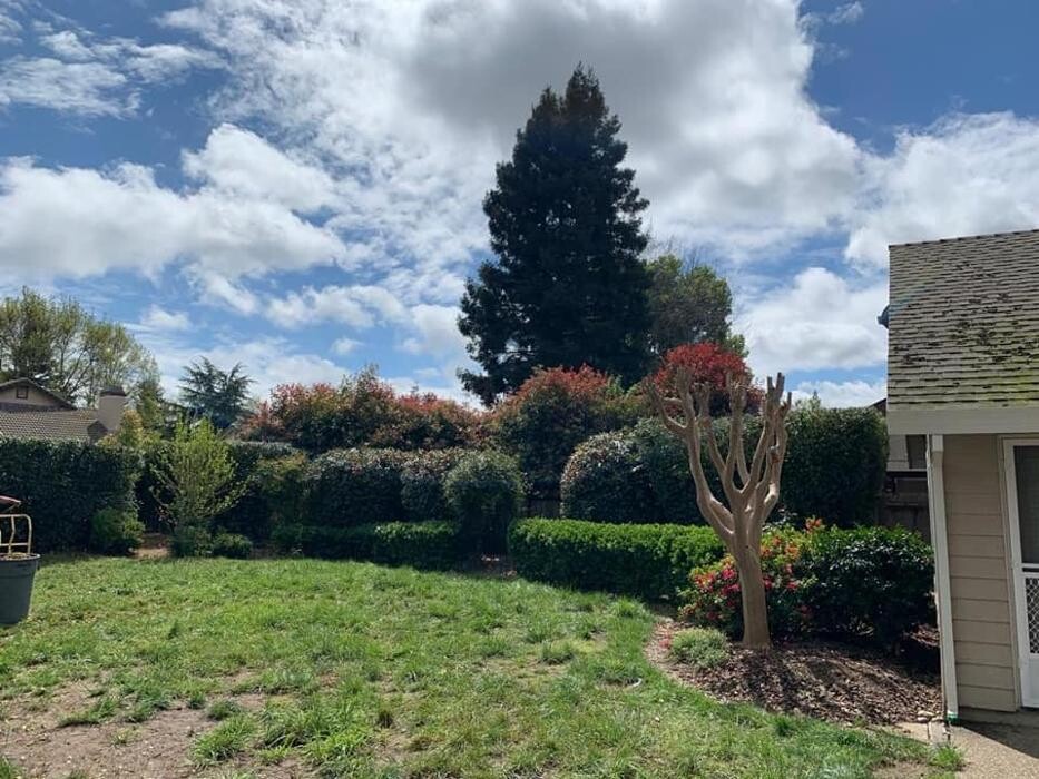 Images All Green Tree Service