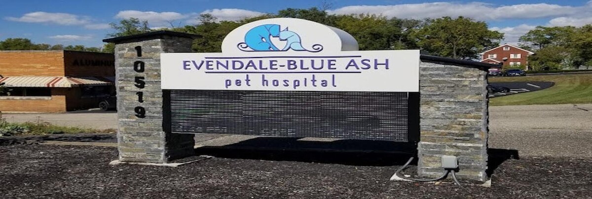 Images Evendale-Blue Ash Pet Hospital