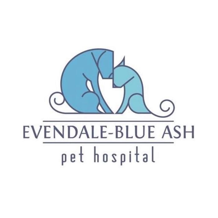 Images Evendale-Blue Ash Pet Hospital