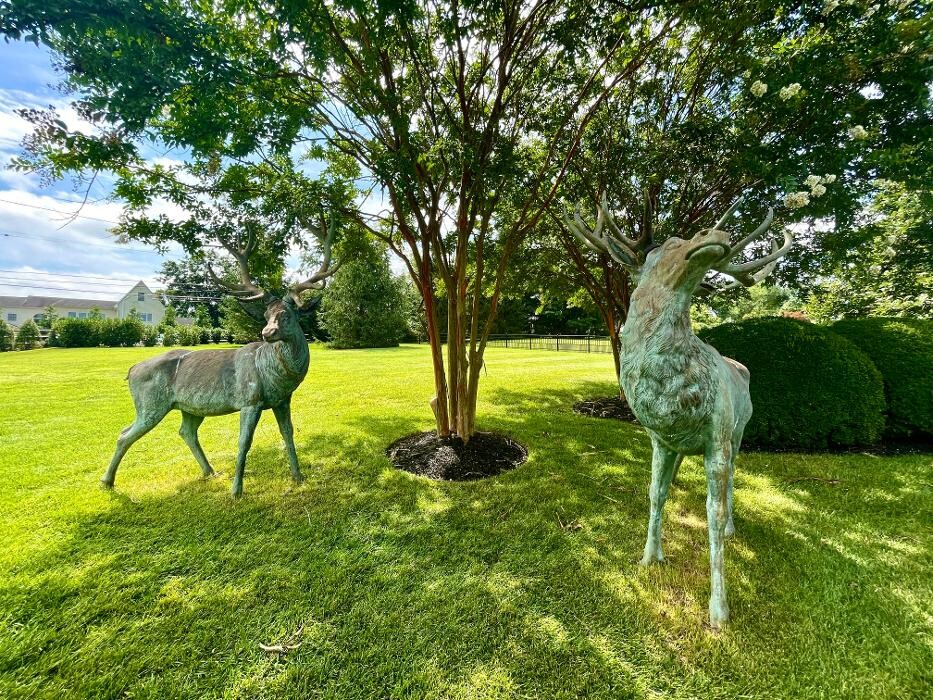 Images Woodfield Outdoors