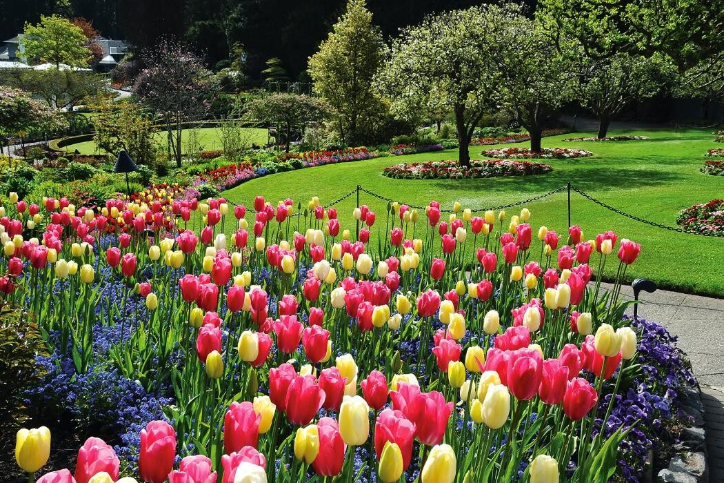 Images landscape care solutions