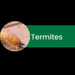 Images Bug Off Pest Pros