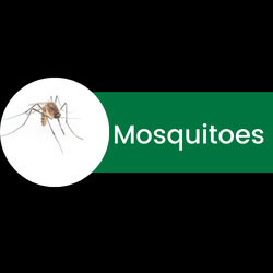 Images Bug Off Pest Pros