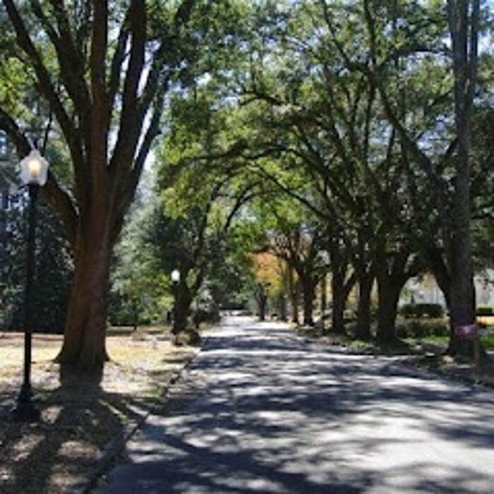 Images Carter Real Estate