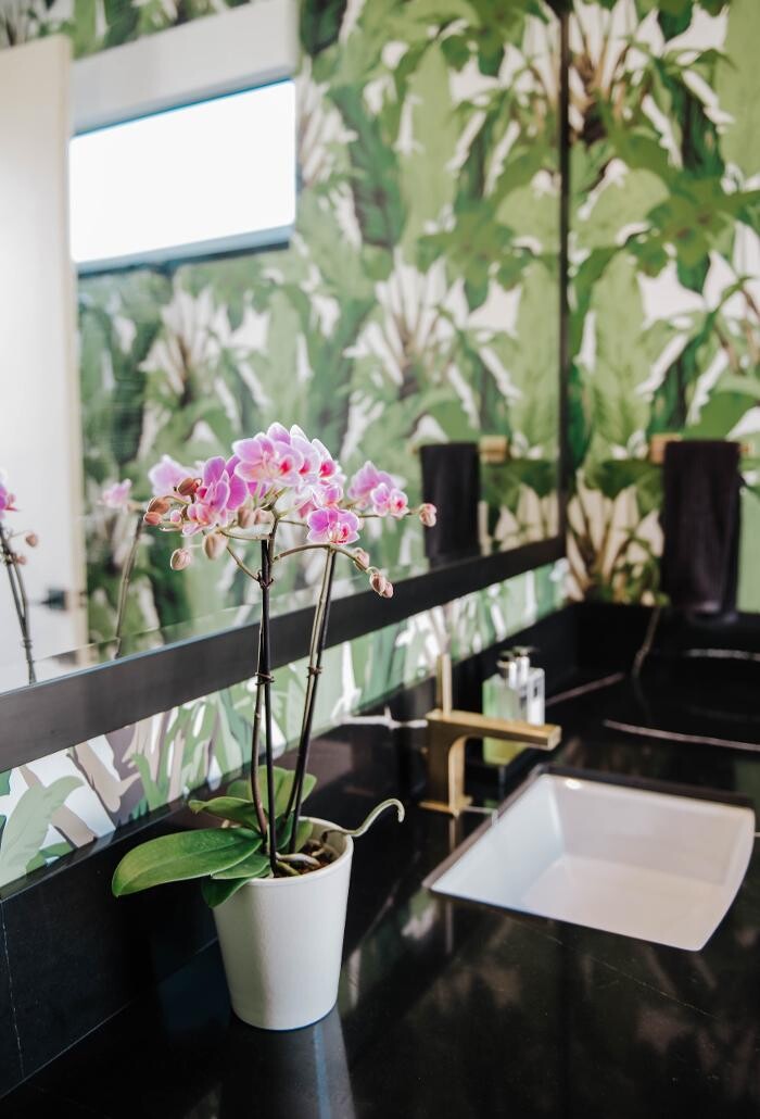 Images Charles Taylor Interior Design