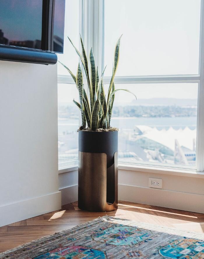 Images Charles Taylor Interior Design