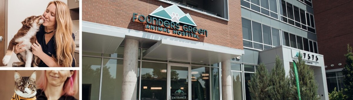 Images Founders Green Animal Hospital