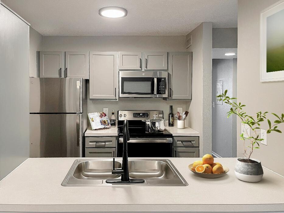 Images The Magnolia Apartments