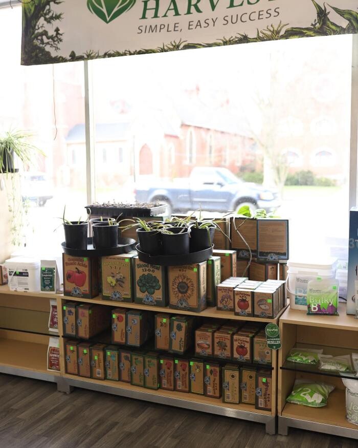 Images The Treehouse Garden Center