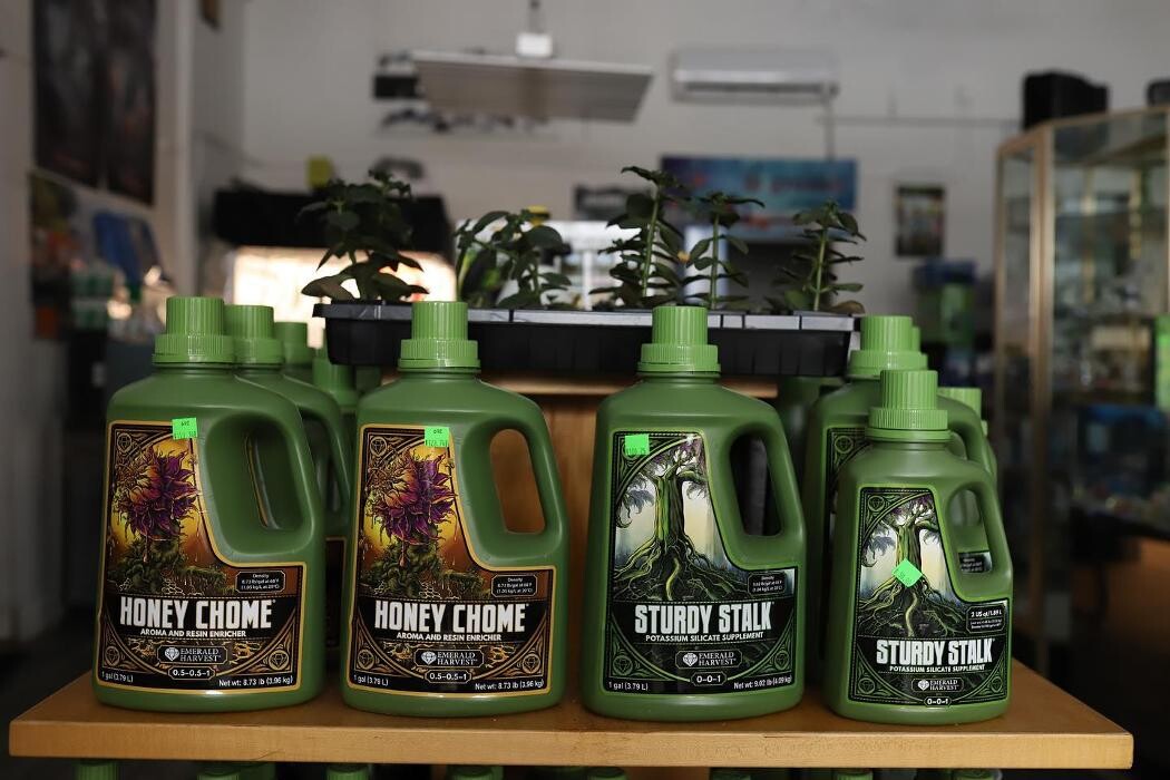 Images The Treehouse Garden Center