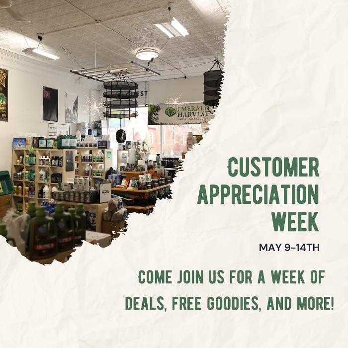 Images The Treehouse Garden Center