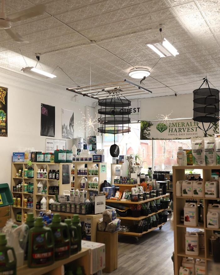 Images The Treehouse Garden Center