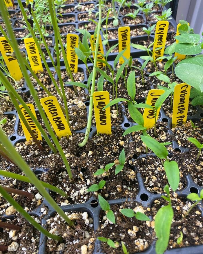 Images The Treehouse Garden Center