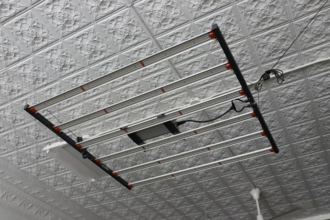 Images The Treehouse Garden Center