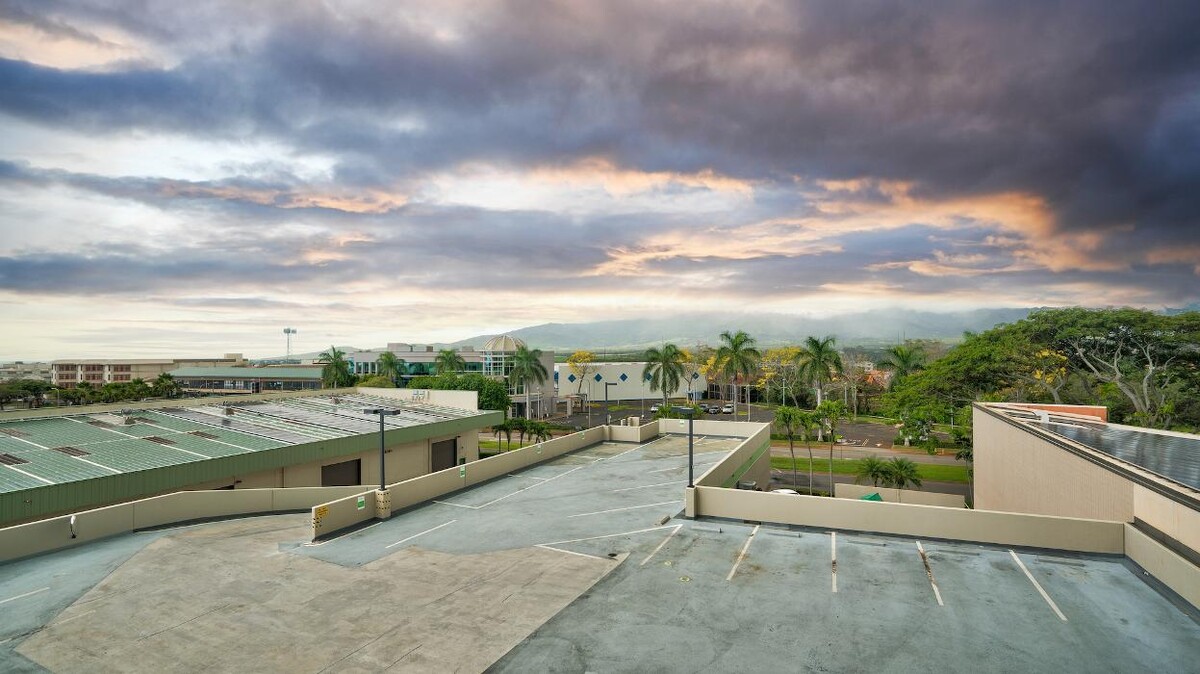 Images Sprouts Therapy