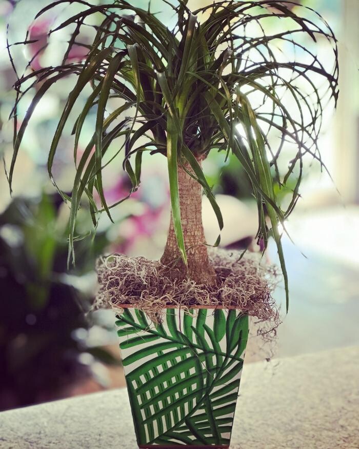 Images Gil-Man Florist Inc.